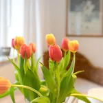 Lejlighed Luettdeel Gelting