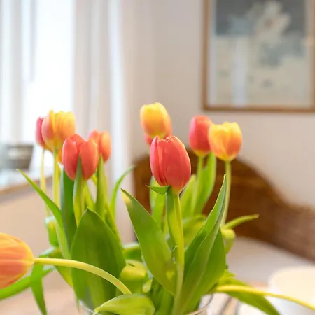 Apartment Luettdeel Gelting